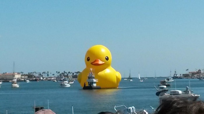 Giant rubber duck arriving